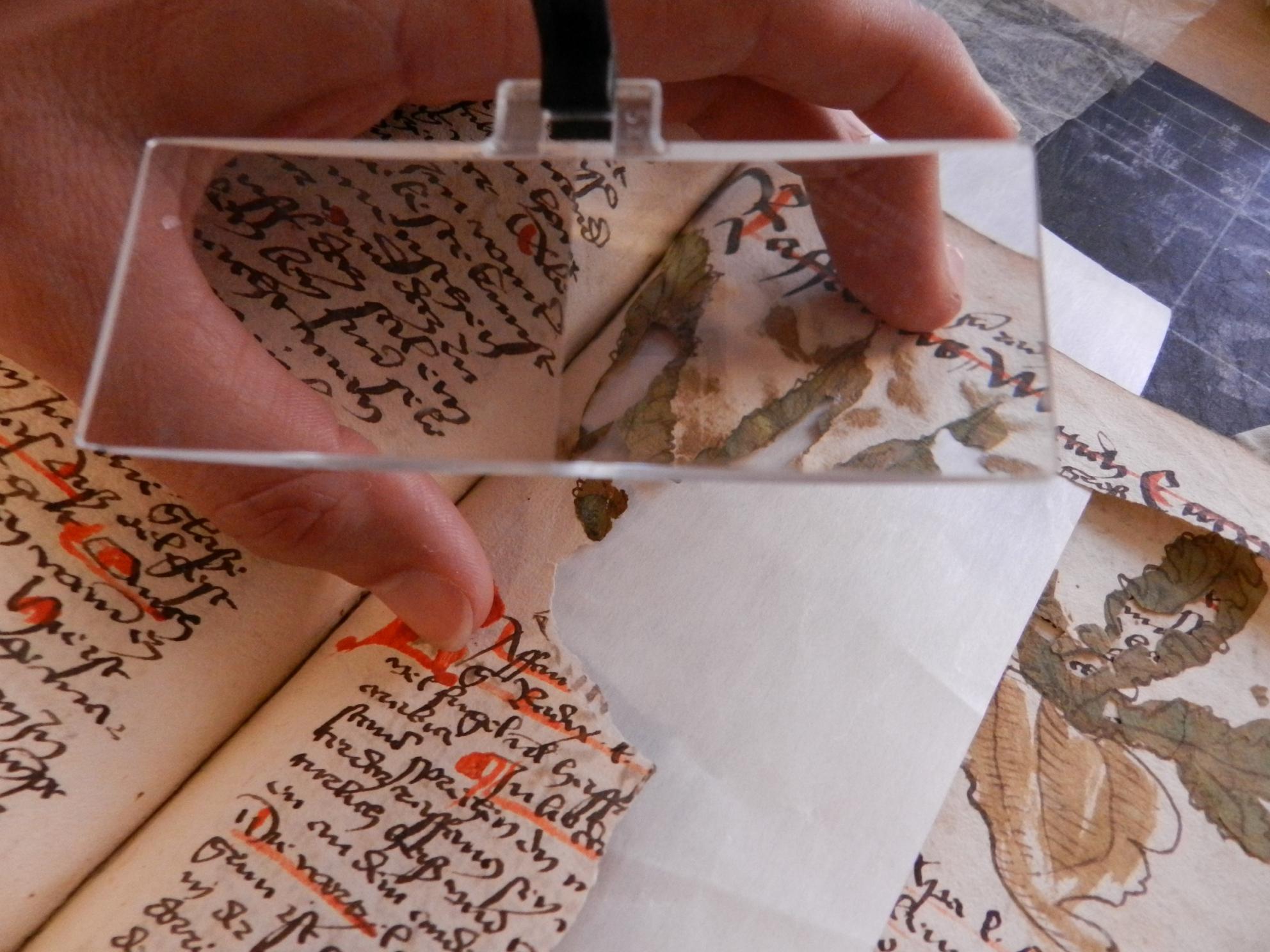 PARCOURS PATRIMOINE : Consulter les sources &agrave; la Bnu