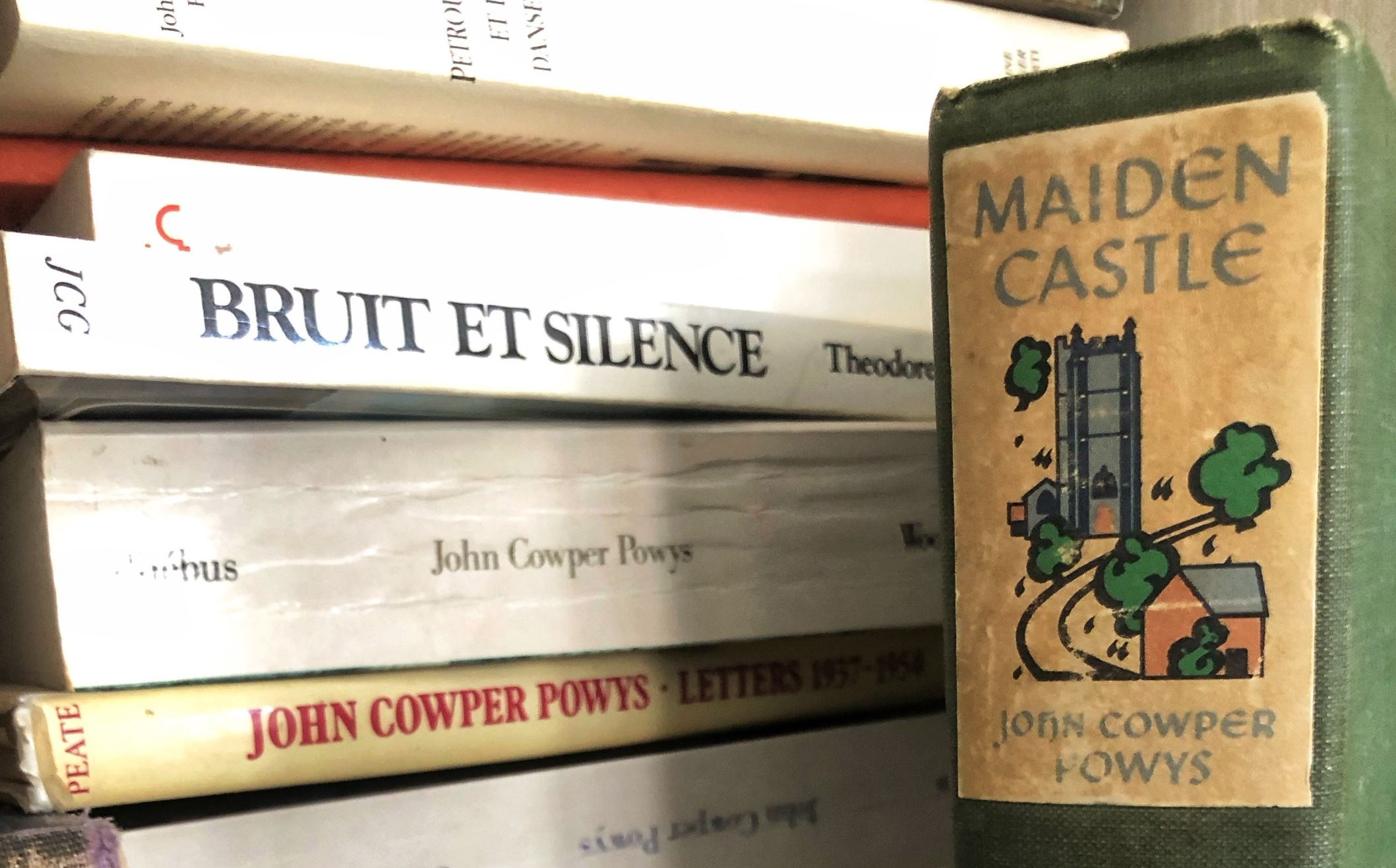 Les œuvres d’un écrivain gallois inclassable rejoignent la Bnu