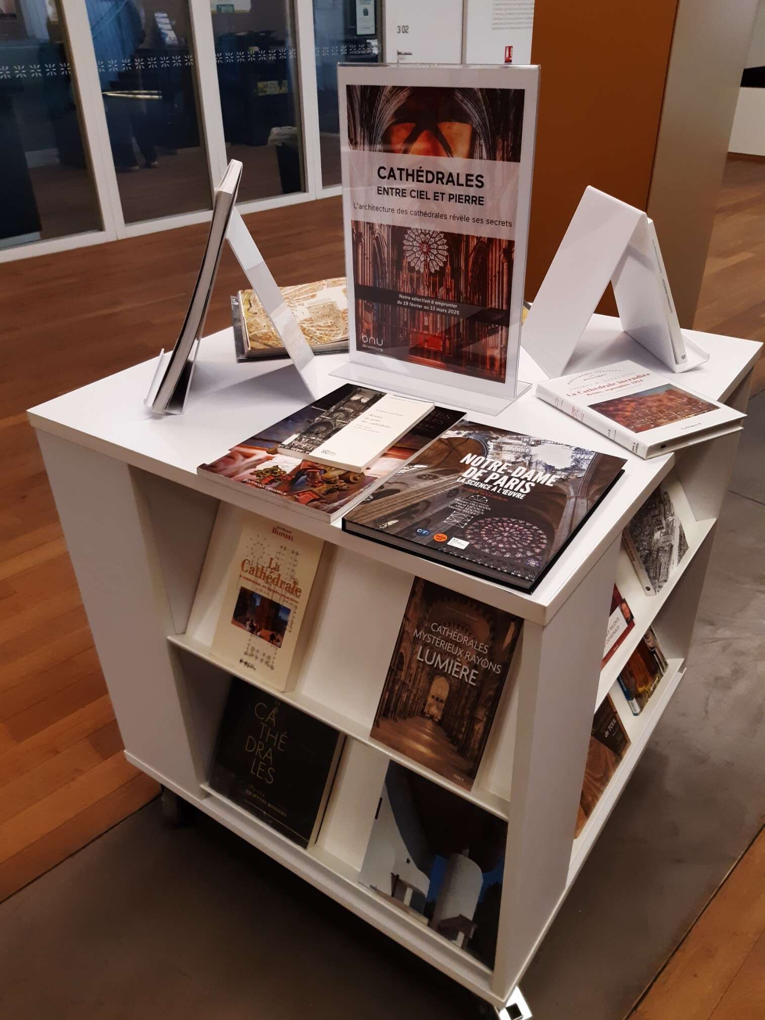 Cathédrales : entre ciel et pierre