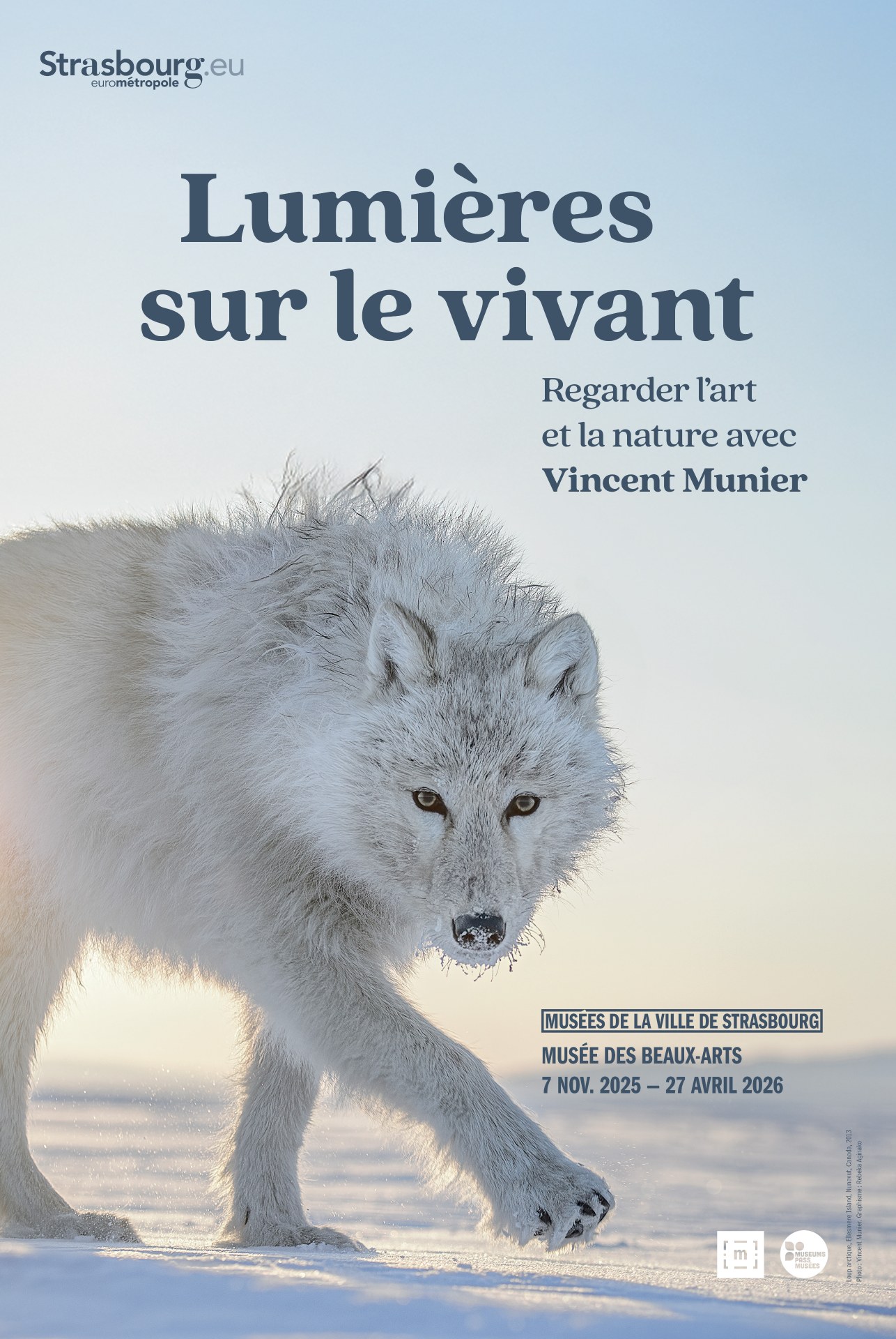 Lumières sur le vivant. Regarder l'art et la nature avec Vincent Munier