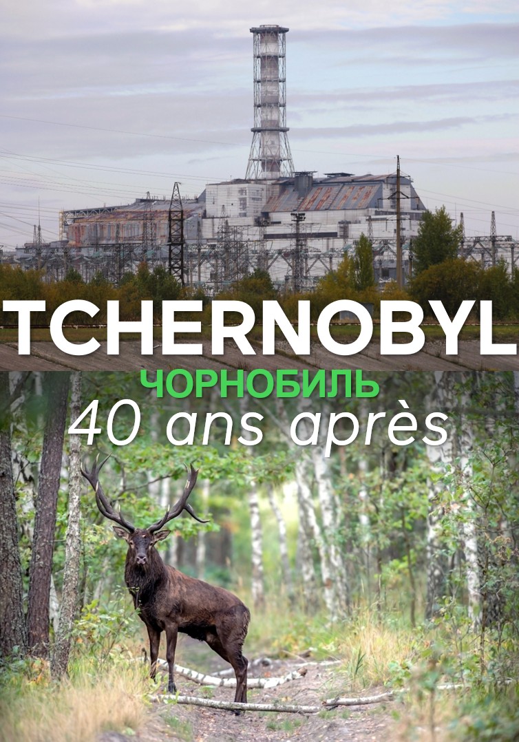 S&eacute;lection th&eacute;matique : Tchernobyl, 40 ans apr&egrave;s